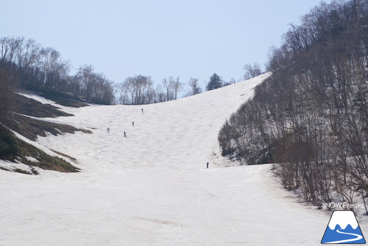 サッポロテイネ 現在積雪 215cm。山麓まで思いっきり滑れます！